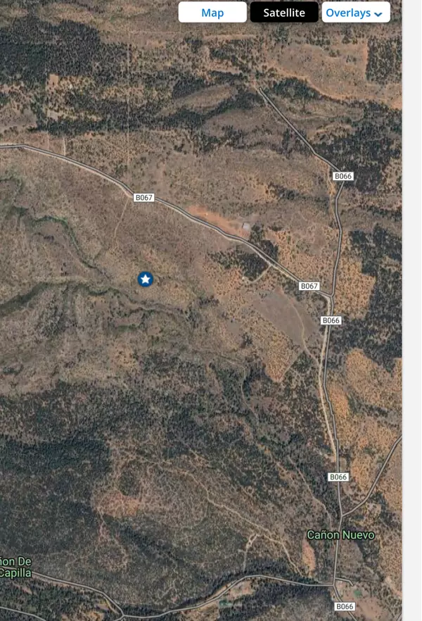 Mountainair, NM 87036,180 Capilla Peak