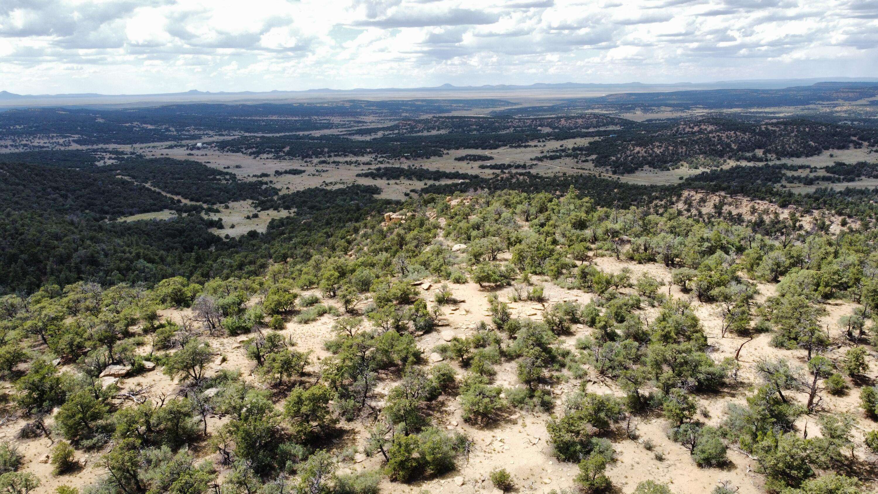 Pie Town, NM 87827,Lot 5 Cattlemen'S CT