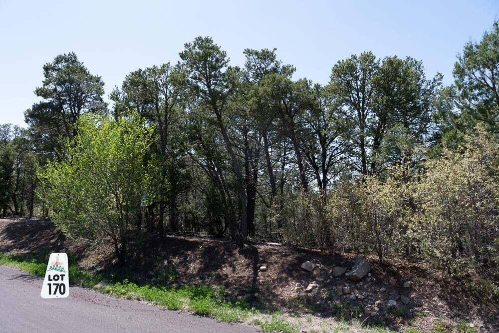 Tijeras, NM 87059,12 Los Pecos TRL