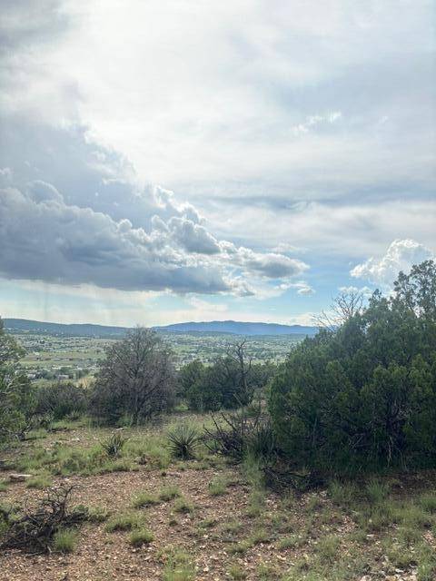 Edgewood, NM 87015,40 Snowflake TRL