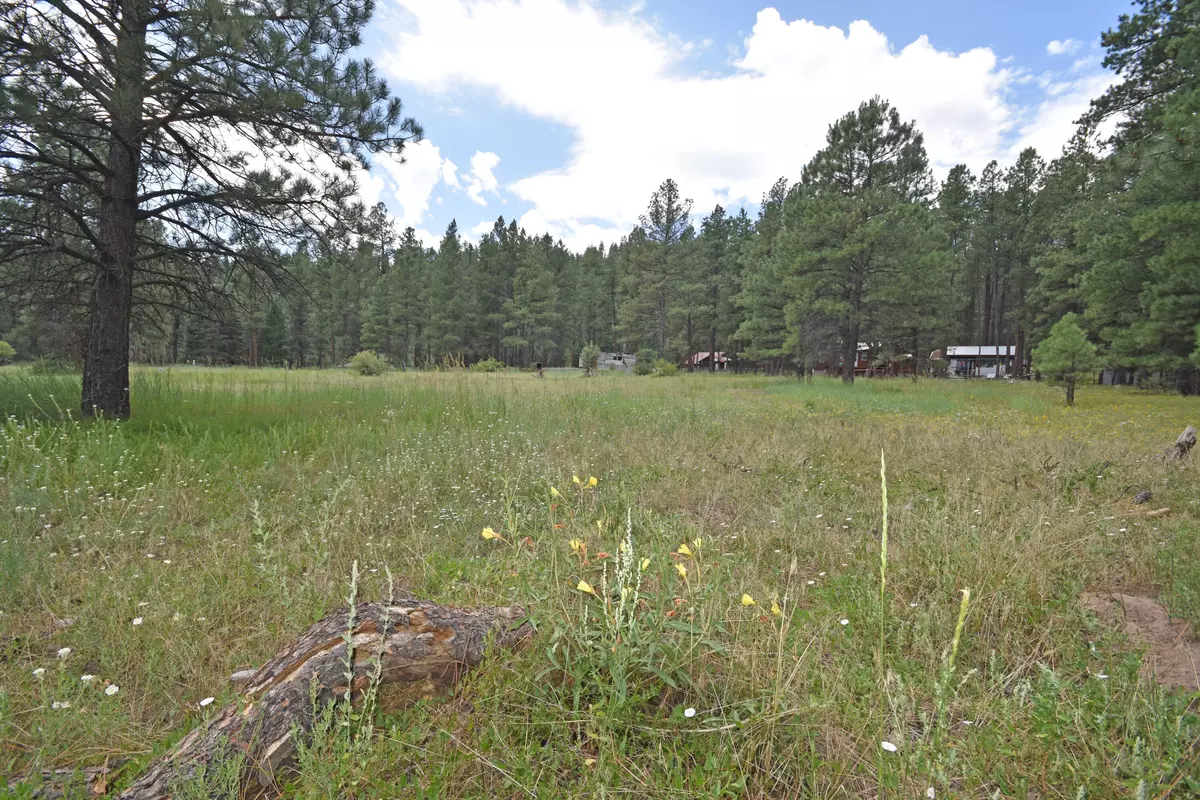 Jemez Springs, NM 87025,Lot 1 Hidden Valley RD