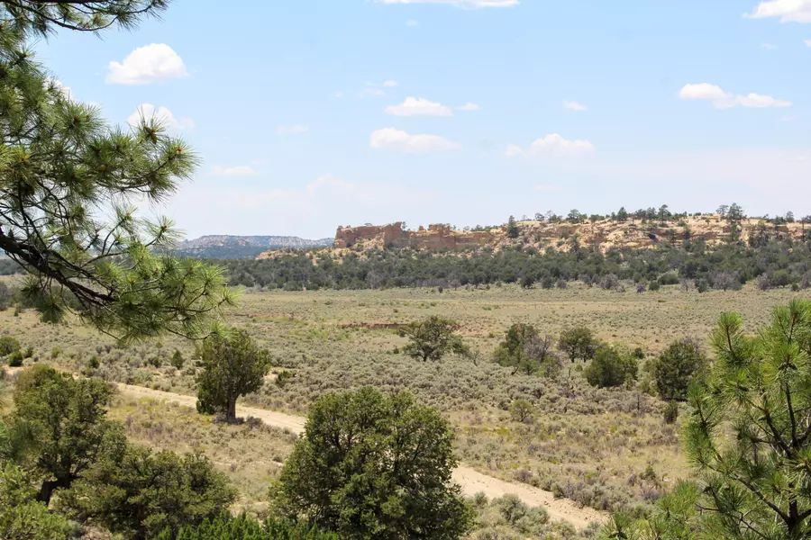 San Isidro Mesa Ranch, Cuba, NM 87013