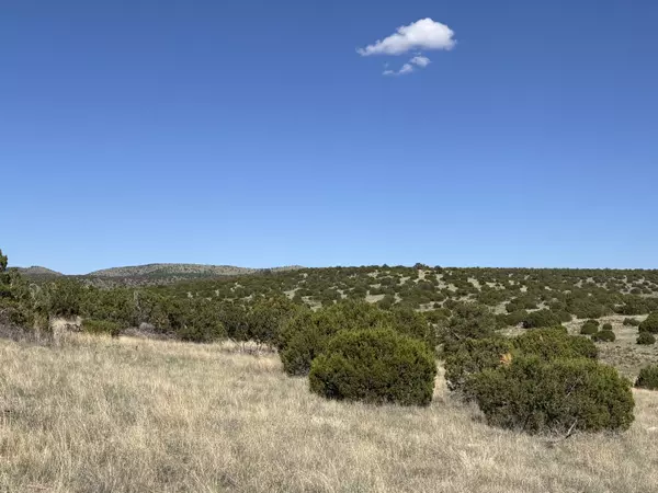 Magdalena, NM 87825,47 Pinon Springs RD