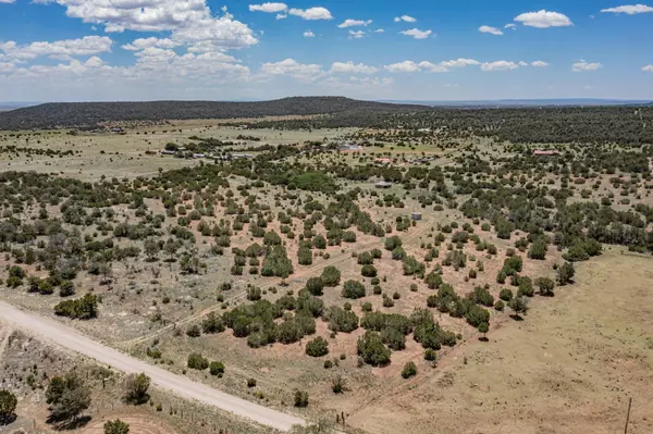 Estancia, NM 87016,CAMINO DEL NORTE