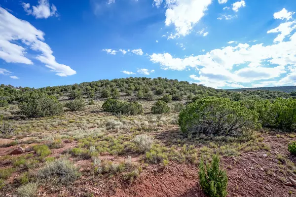 Placitas, NM 87043,101 Crestview CT