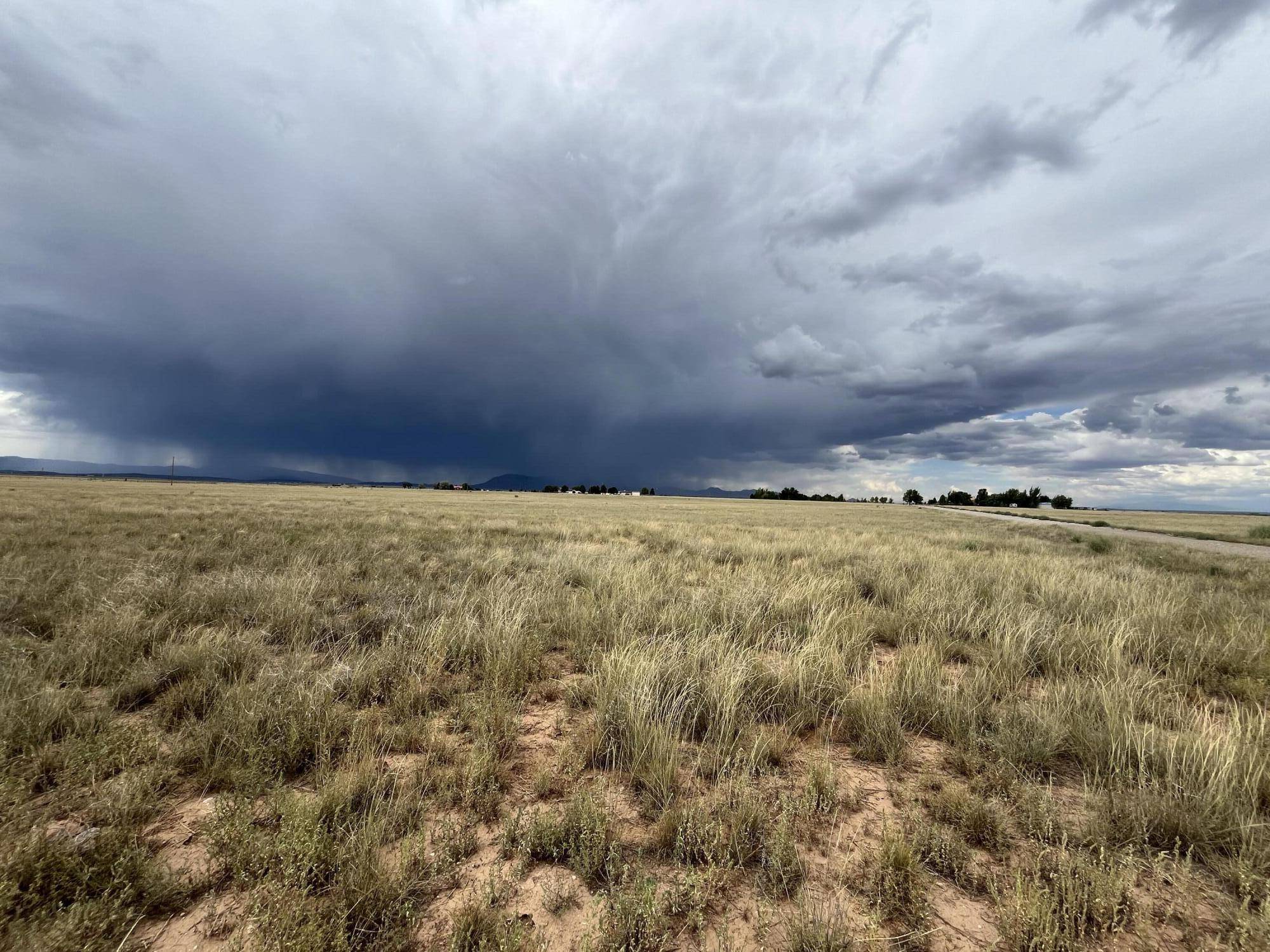 Snow Moon Estates LN, Moriarty, NM 87035
