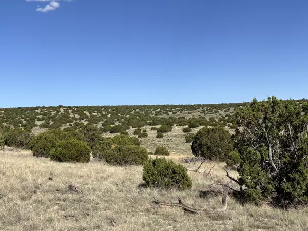 Magdalena, NM 87825,Lot 43 Pinon Springs Ranches