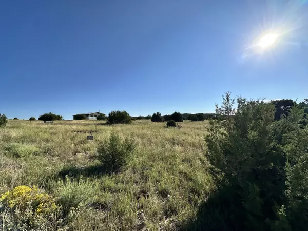 Edgewood, NM 87016,LOT 29 BLOCK 3