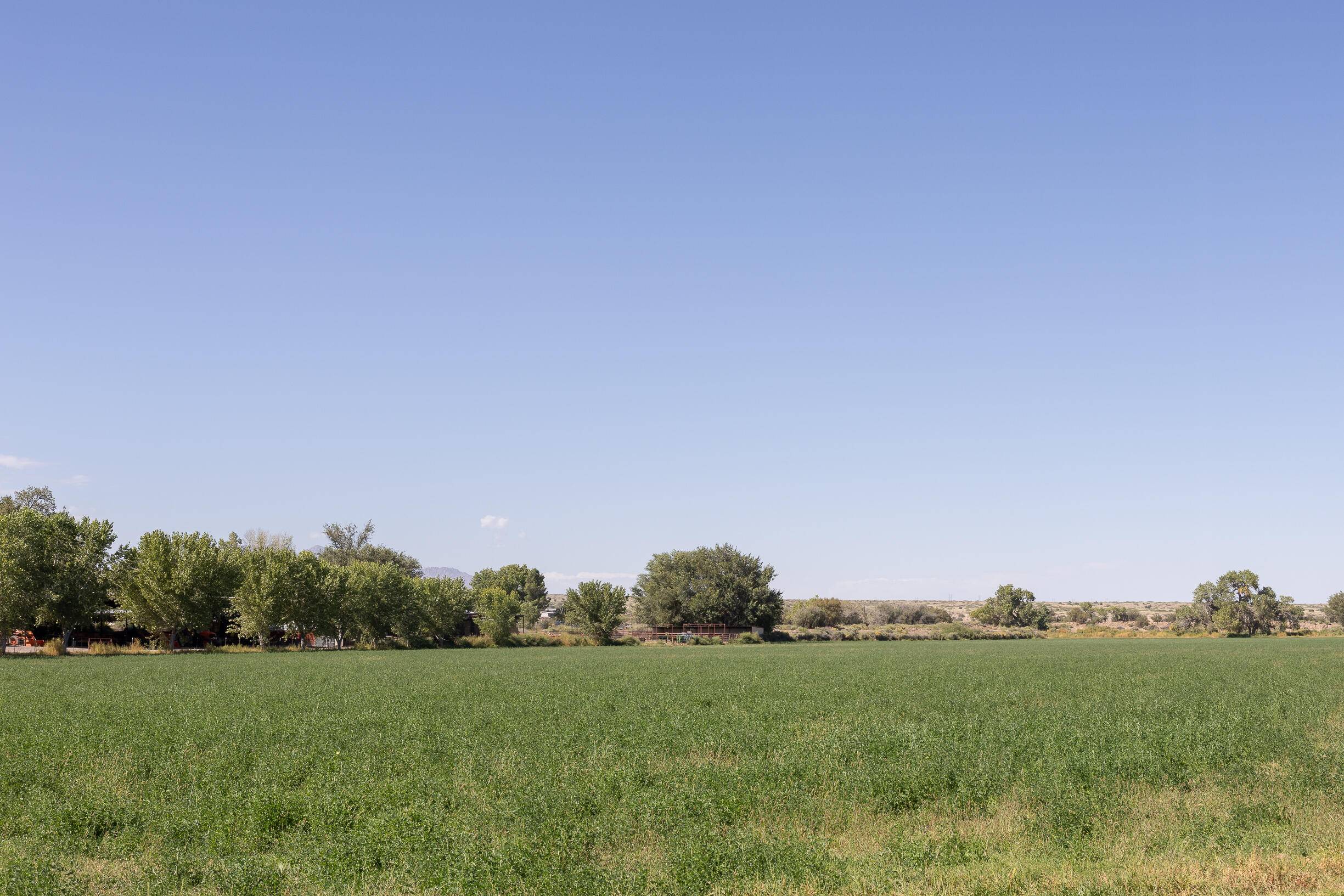 San Acacia, NM 87831,17 SAN ACACIA RD