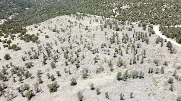 Estancia, NM 87016,TWIN PEAKS COURT LOT 16