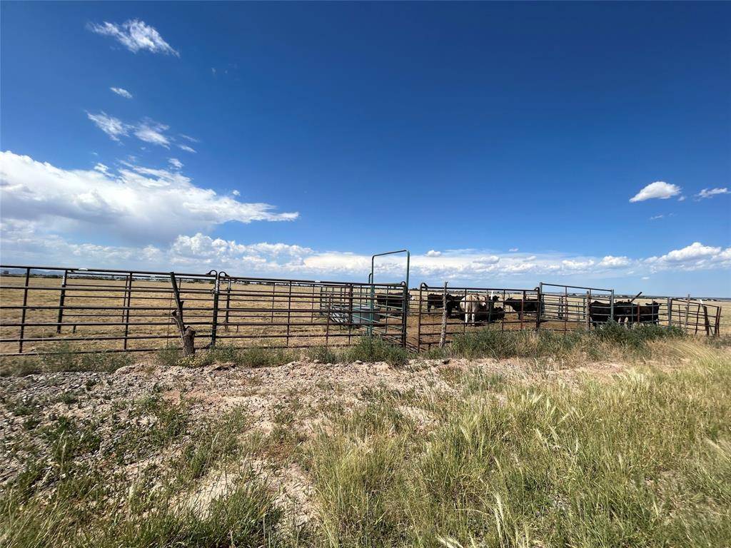 Moriarty, NM 87035,0 MARTINEZ ROAD RD