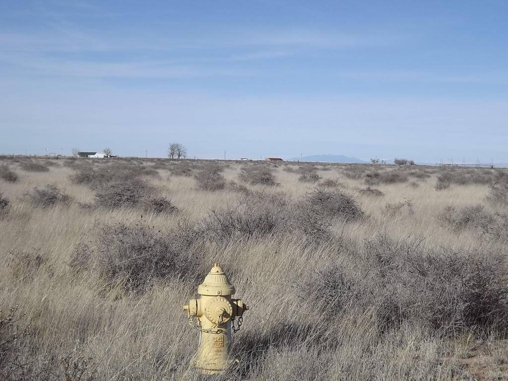 Estancia, NM 87016,AUDRA, BLK 6, LOT 3 LOOP