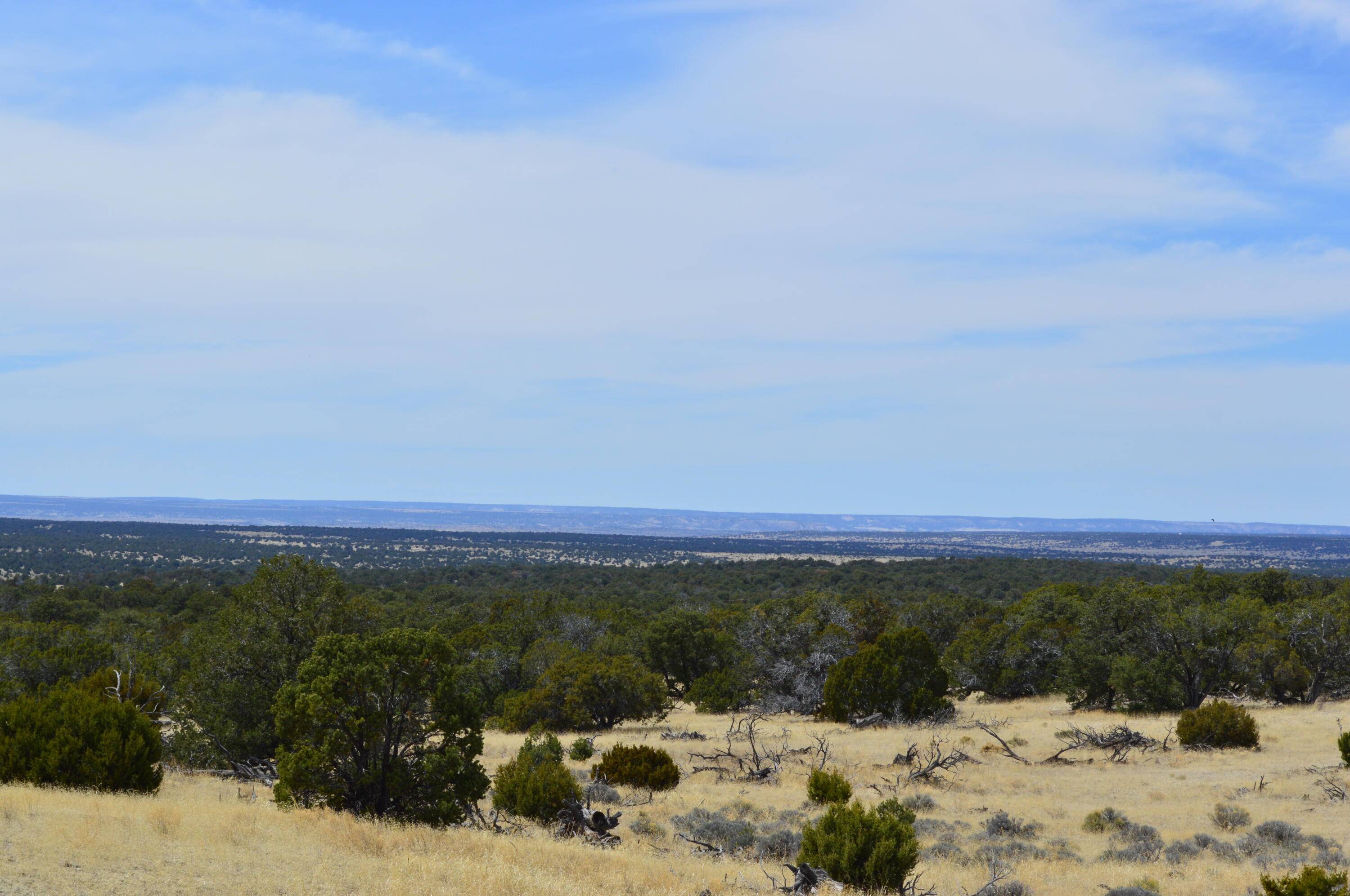 Pie Town, NM 87827,618 NM-603