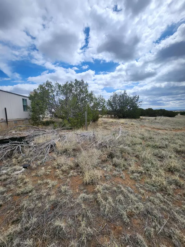 Moriarty, NM 87035,33 BRANDY CT