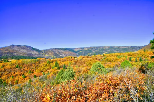 Mora, NM 87732,Chacon; Creek B008