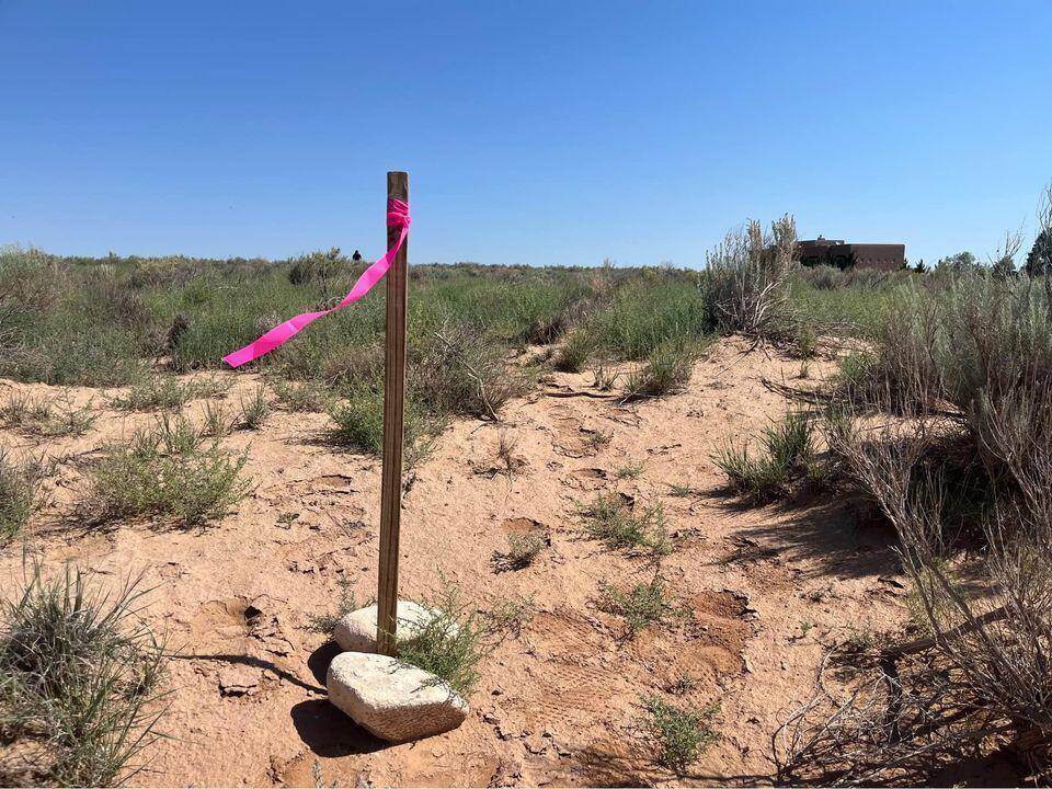 Rio Rancho, NM 87144,4076 Aloe CIR NE