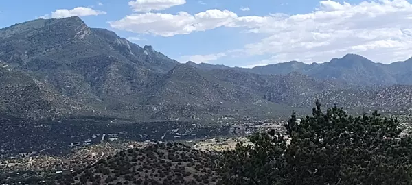 Placitas, NM 87043,53 Camino De Las Brisas
