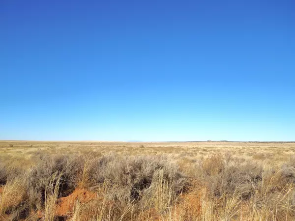 Estancia, NM 87016,Lot 20-22 Block 8 Tract 12