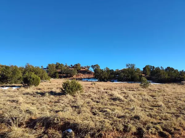 Mountainair, NM 87036,Ravine LN