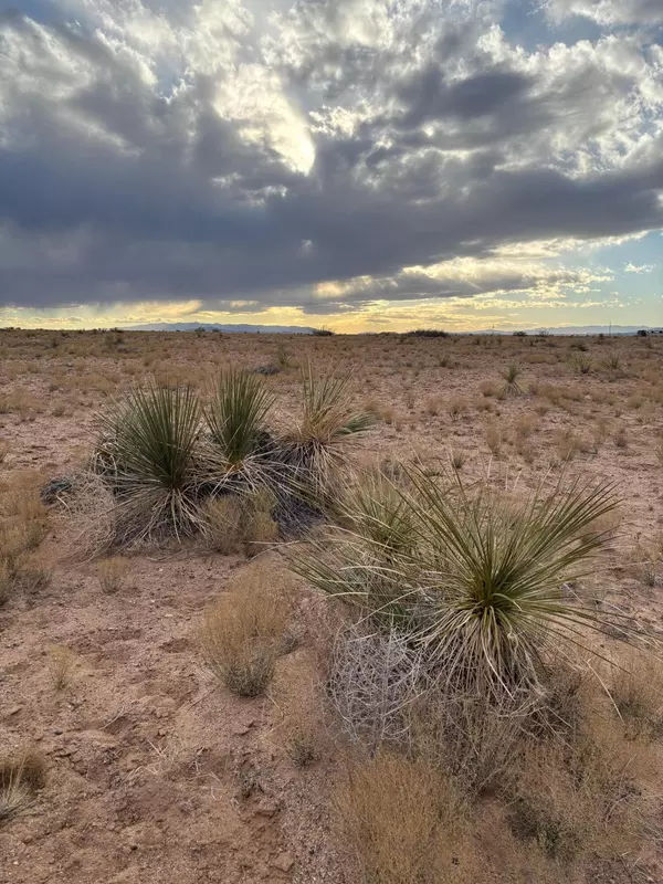 Gardenia St Lot: 1 Block: 513, Veguita, NM 87062