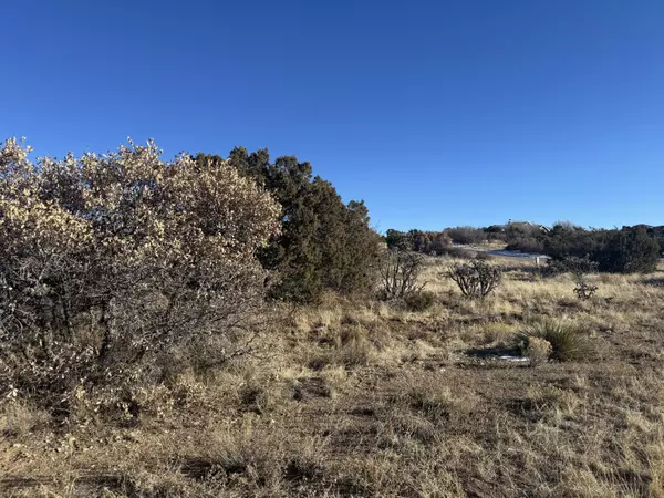 Tijeras, NM 87059,2 PUNCH CT