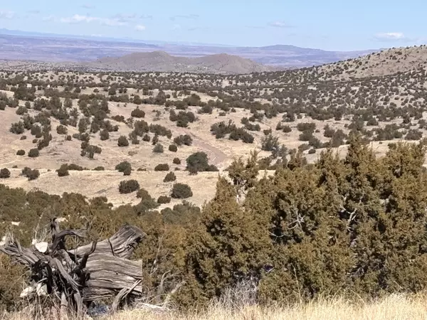 Magdalena, NM 87825,48 Pinon Springs