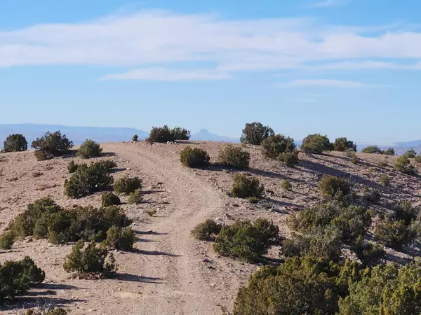 Placitas, NM 87043,Near CAMINO HALCON