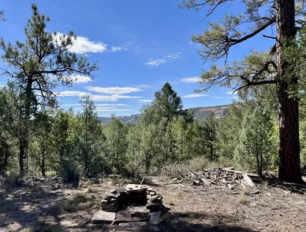 Ramah, NM 87321,Lot 18 Quail RD