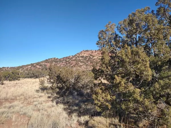 Bernardo, NM 87006,Forest Service RD 422