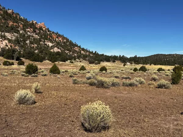 Lot 5B Box S Ranch RD, Ramah, NM 87321