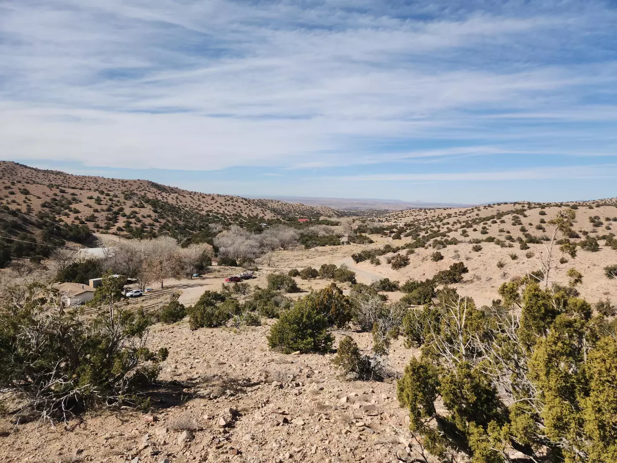 Placitas, NM 87043,41 CAMINO DE LA ROSA CASTILLA