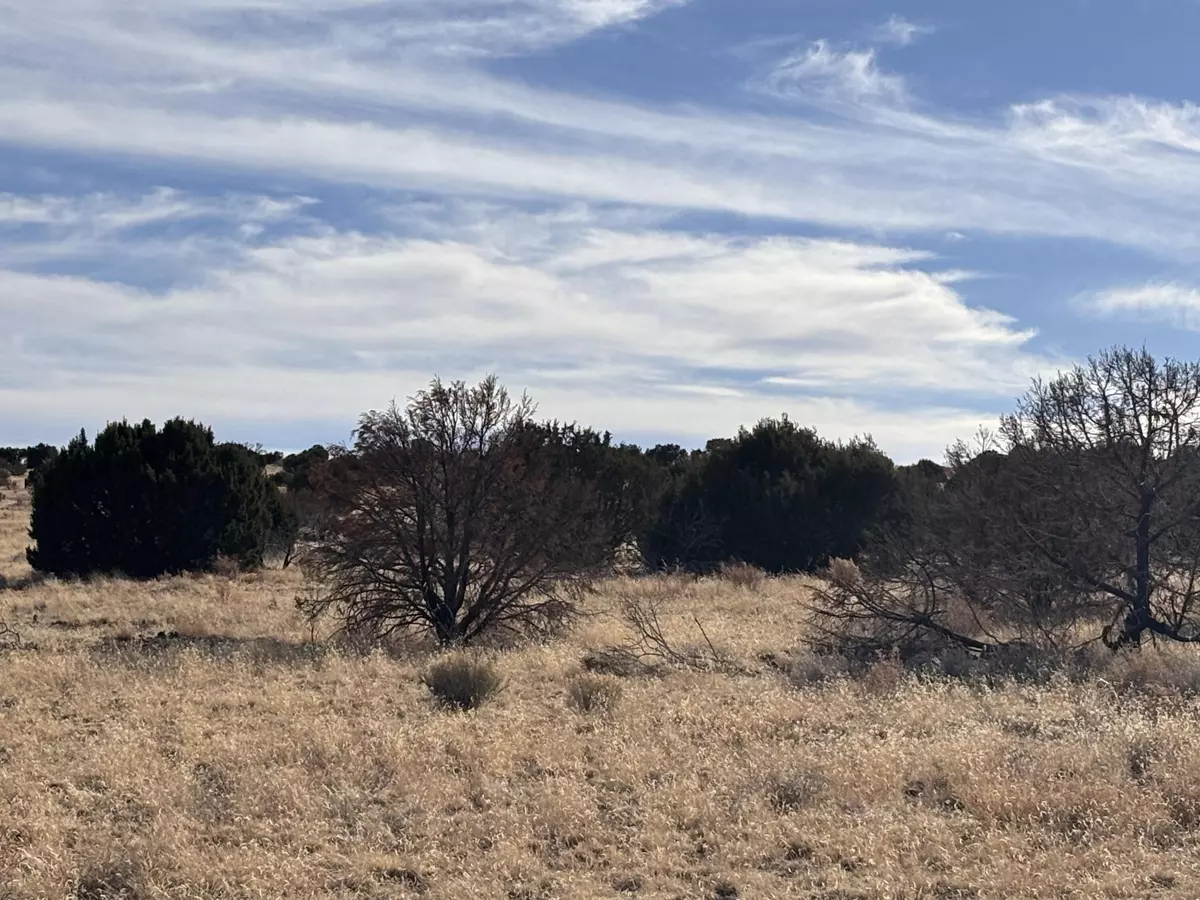 Magdalena, NM 87825,Lot 28 Pinon Springs