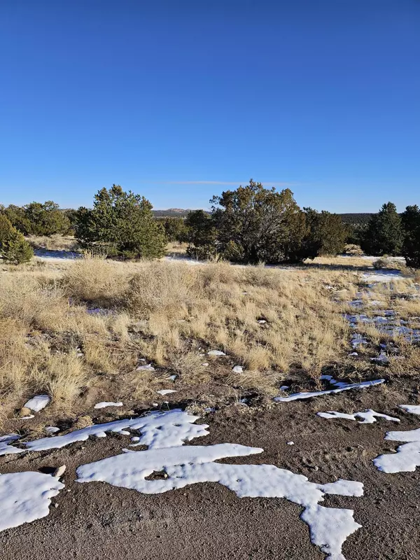 50 Highway 60, Pie Town, NM 87827