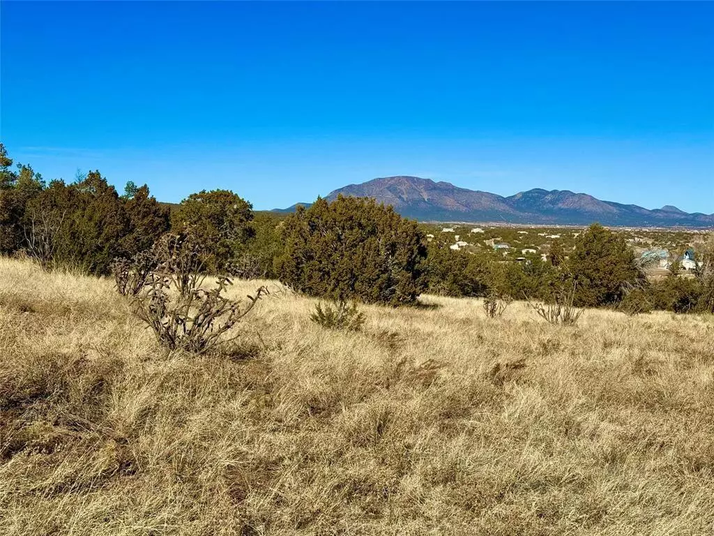 Edgewood, NM 87015,59 Wildwood DR
