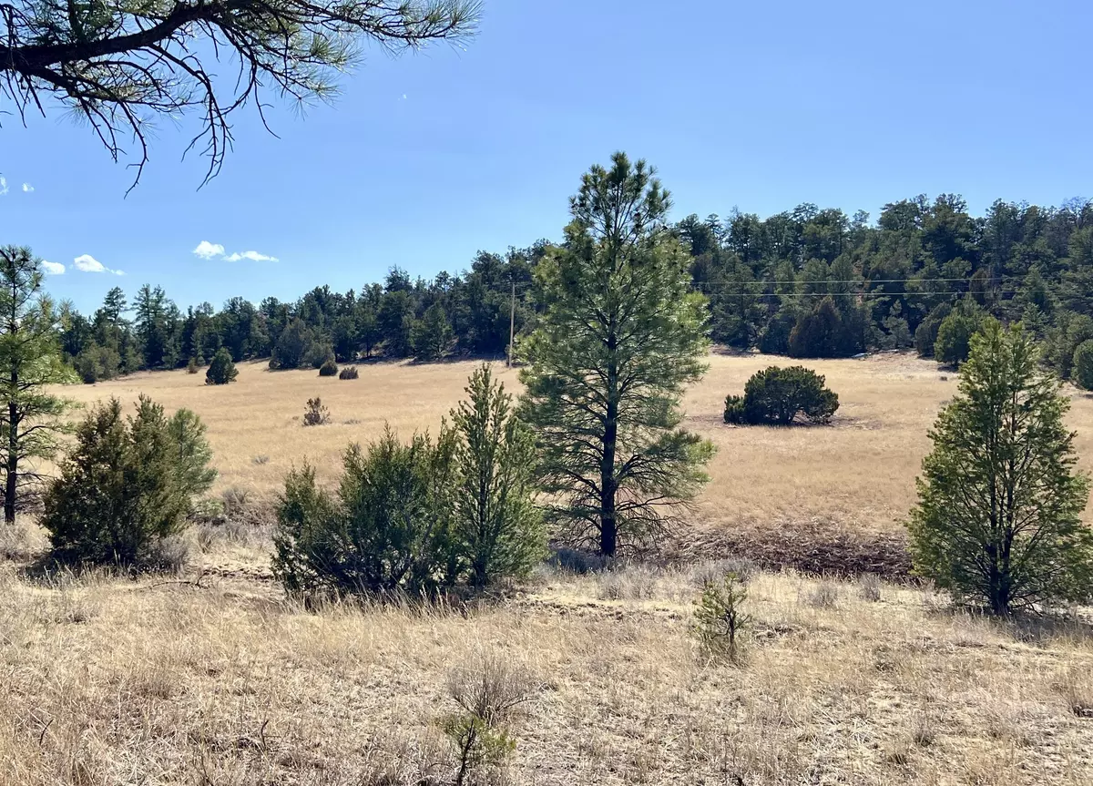Ramah, NM 87321,Lot 9 Juniper DR