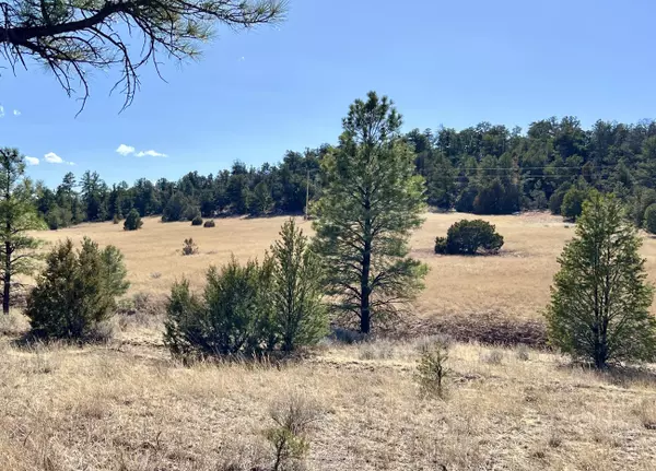 Lot 9 Juniper DR, Ramah, NM 87321