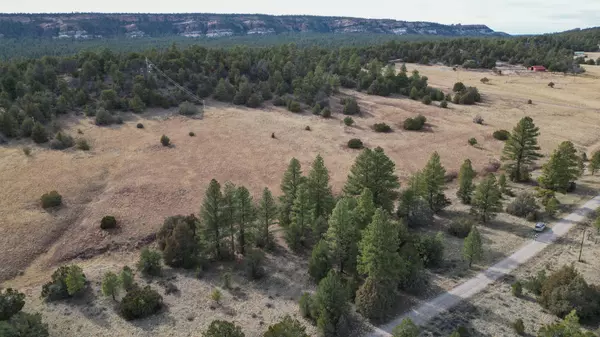 Ramah, NM 87321,Lot 9 Juniper DR