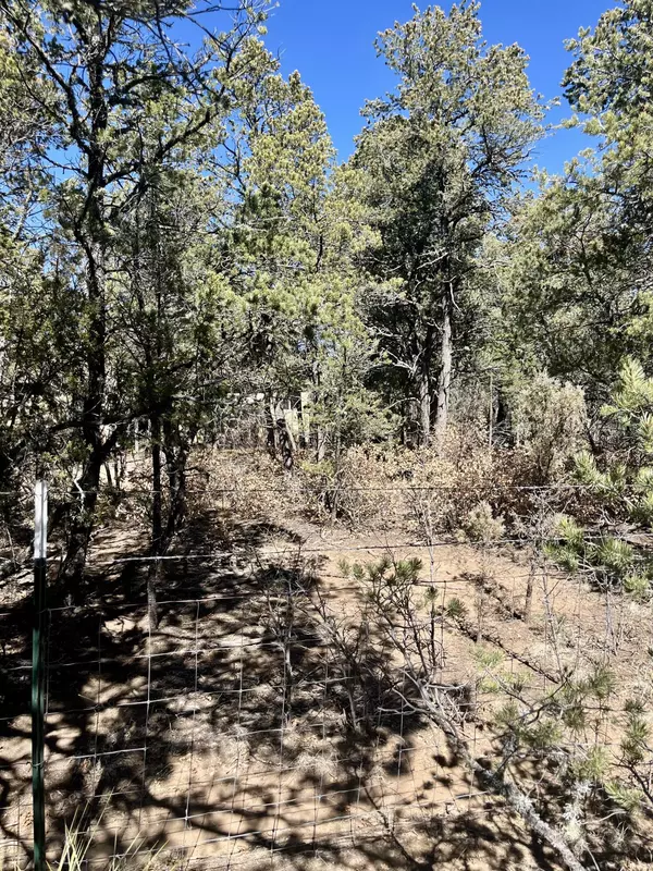 Edgewood, NM 87015,5 DRUM RD