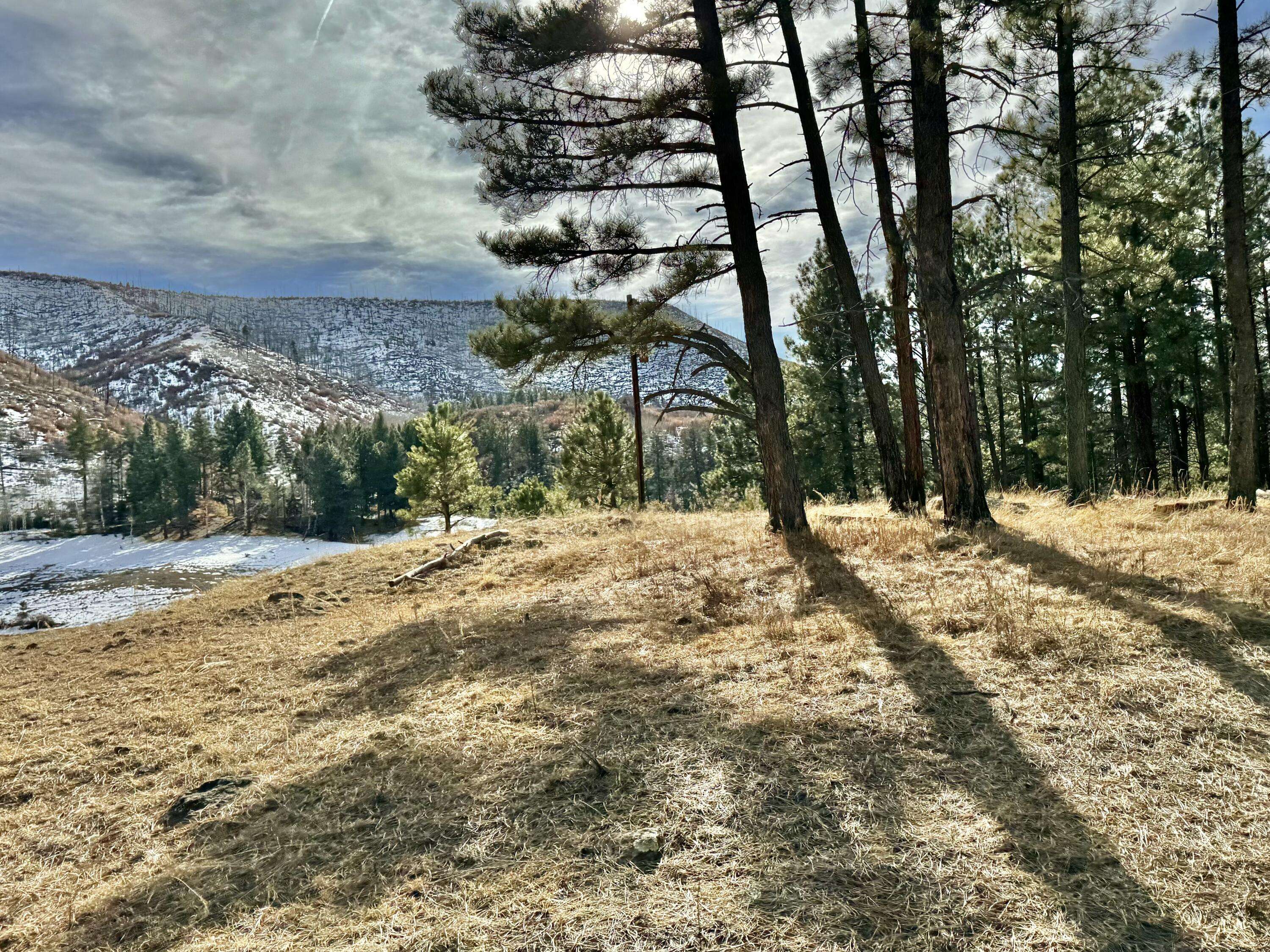 Jemez Springs, NM 87025,Lake Fork RD