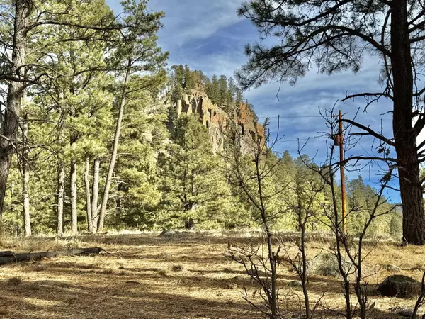 Lake Fork RD, Jemez Springs, NM 87025