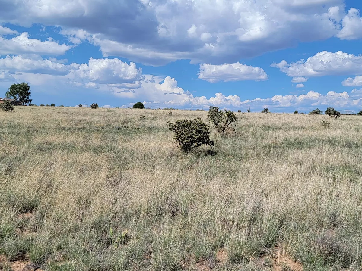 Edgewood, NM 87015,13 Dapple LN