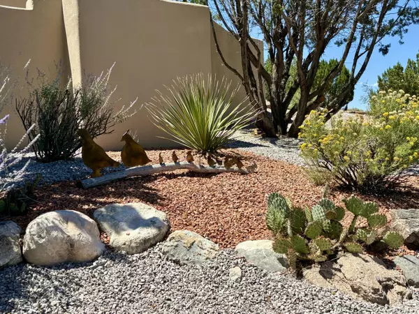 Placitas, NM 87043,50 Anasazi Trails LOOP