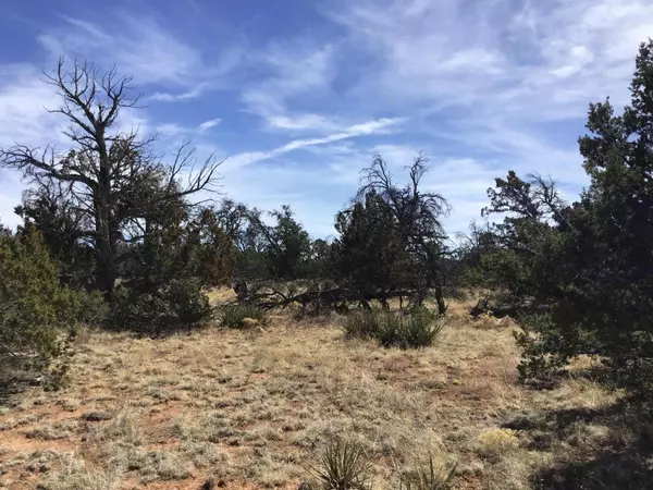 Ramah, NM 87321,Lot 651 Gabe RD