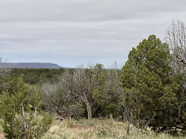 Newkirk, NM 88431,10 Bull Canyon LOOP