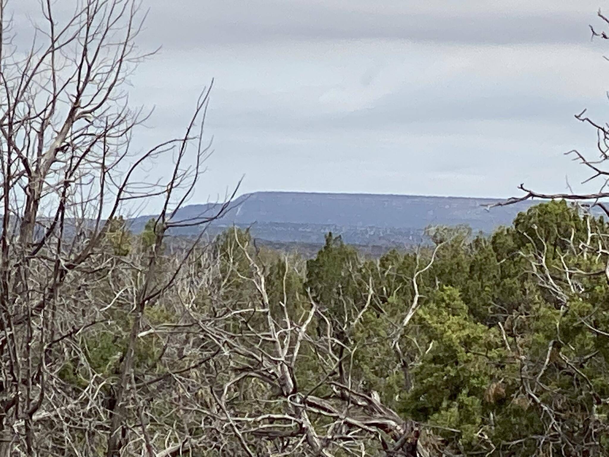 Newkirk, NM 88431,10 Bull Canyon LOOP