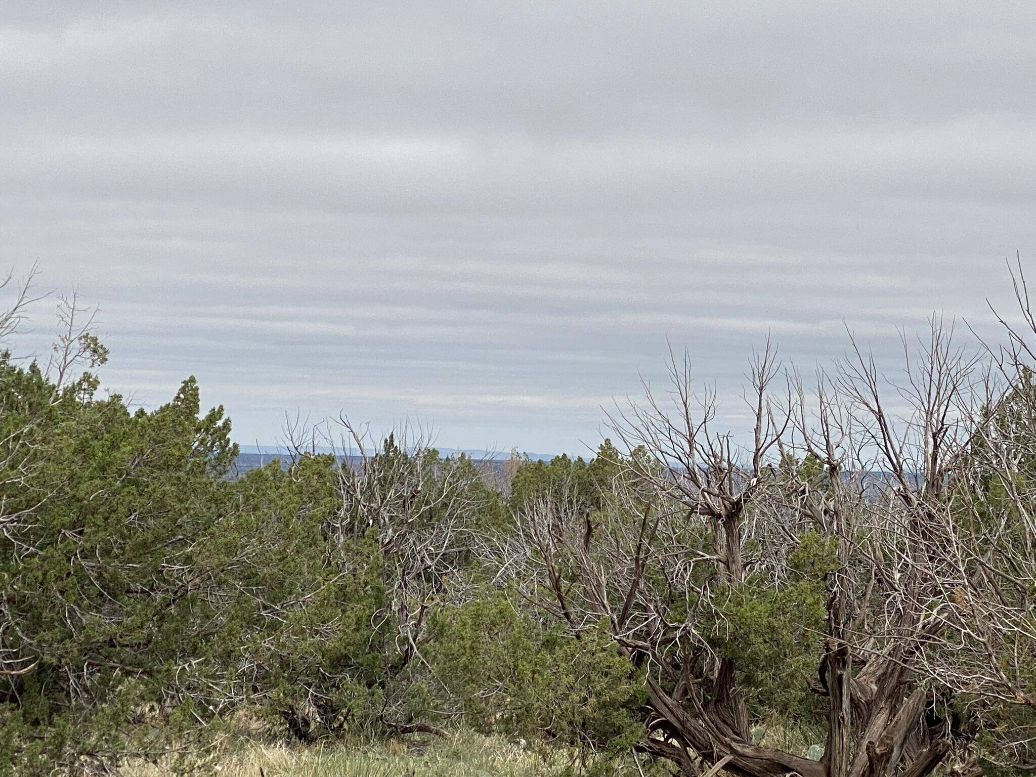 Newkirk, NM 88431,10 Bull Canyon LOOP