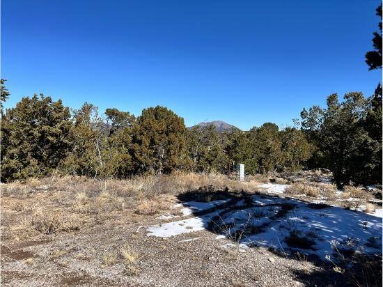 Tijeras, NM 87059,8 Pinon Point RD