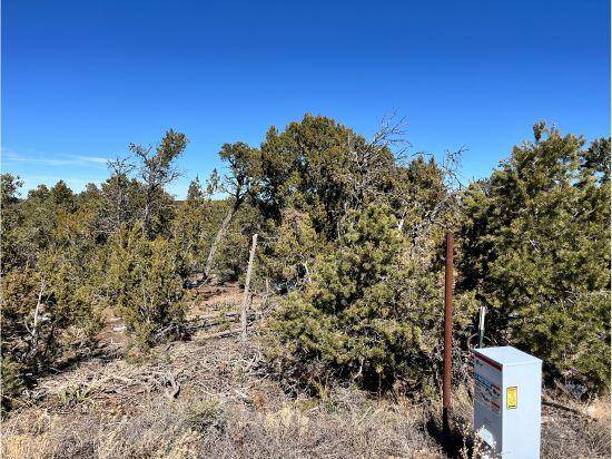 8 Pinon Point RD, Tijeras, NM 87059
