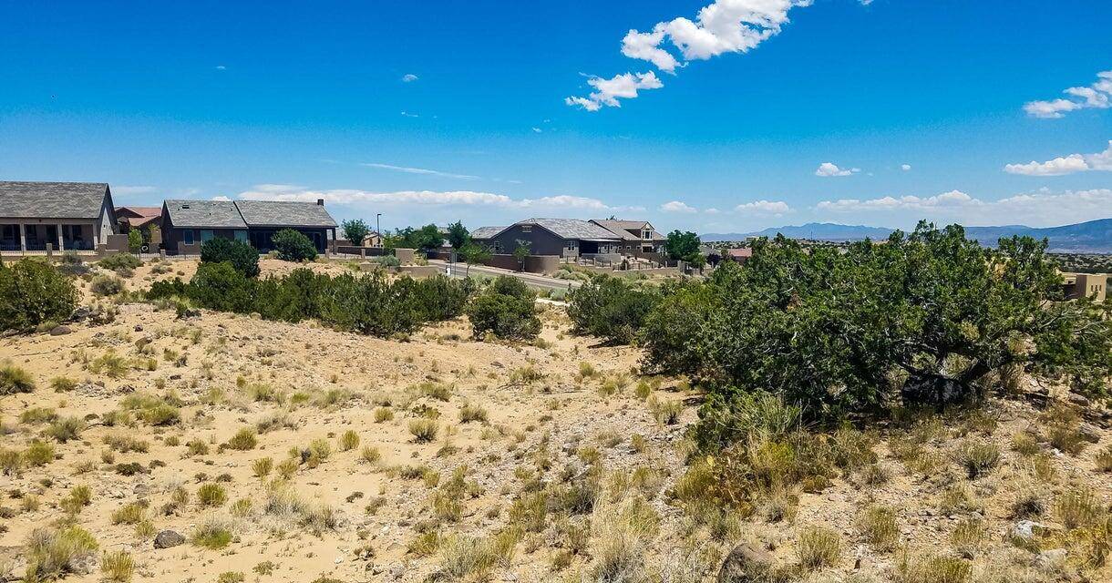 Rio Rancho, NM 87144,2401 Desert Marigold RD