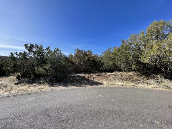 Sandia Park, NM 87047,43 Canon Escondido PL